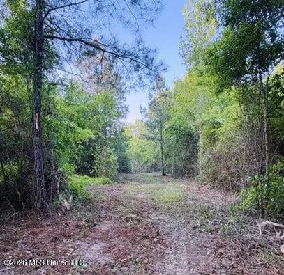 0 Darron Hodge Lane, Poplarville, MS 39470 - #2