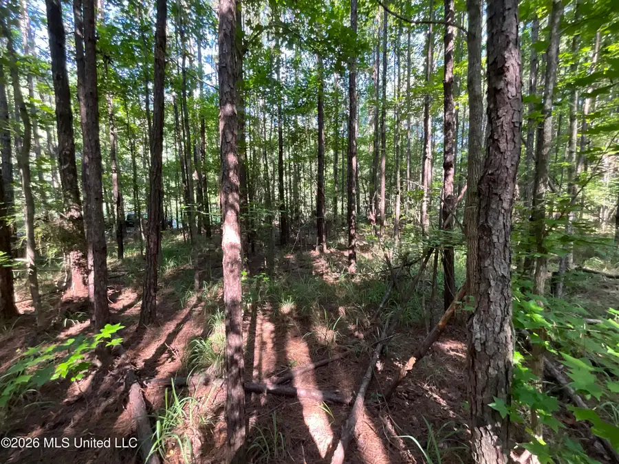 Tbd Fox Road, Gloster, MS 39638 - #2