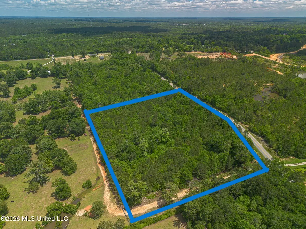 Parcel A M P Parker Road, McHenry, MS 39561 - #1
