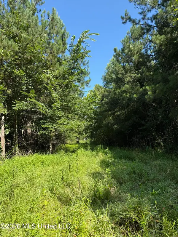 Winfry Road, Kilmichael, MS 39747