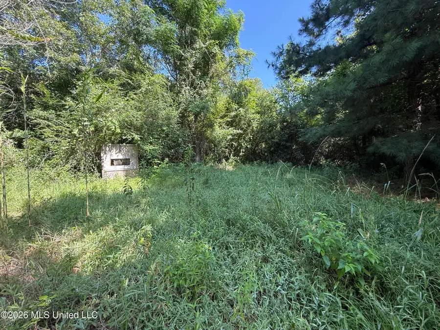 Winfry Road, Kilmichael, MS 39747 - #2
