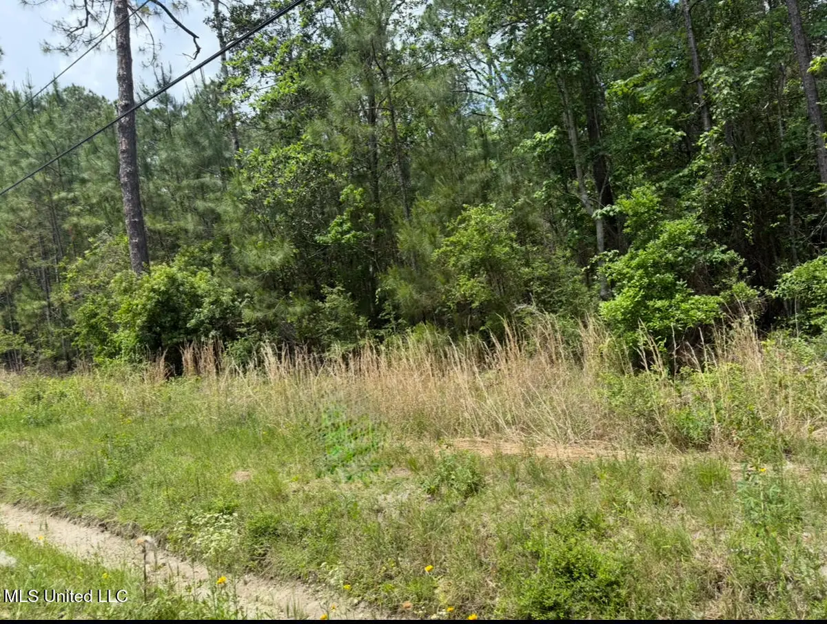 W Adams Street, Bay Saint Louis, MS 39520 - #1