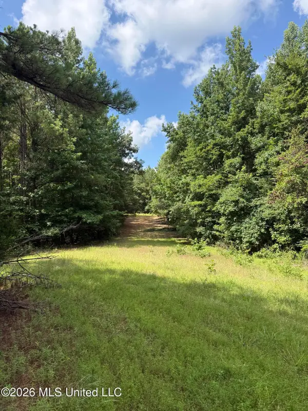 Highway 407, Kilmichael, MS 39747
