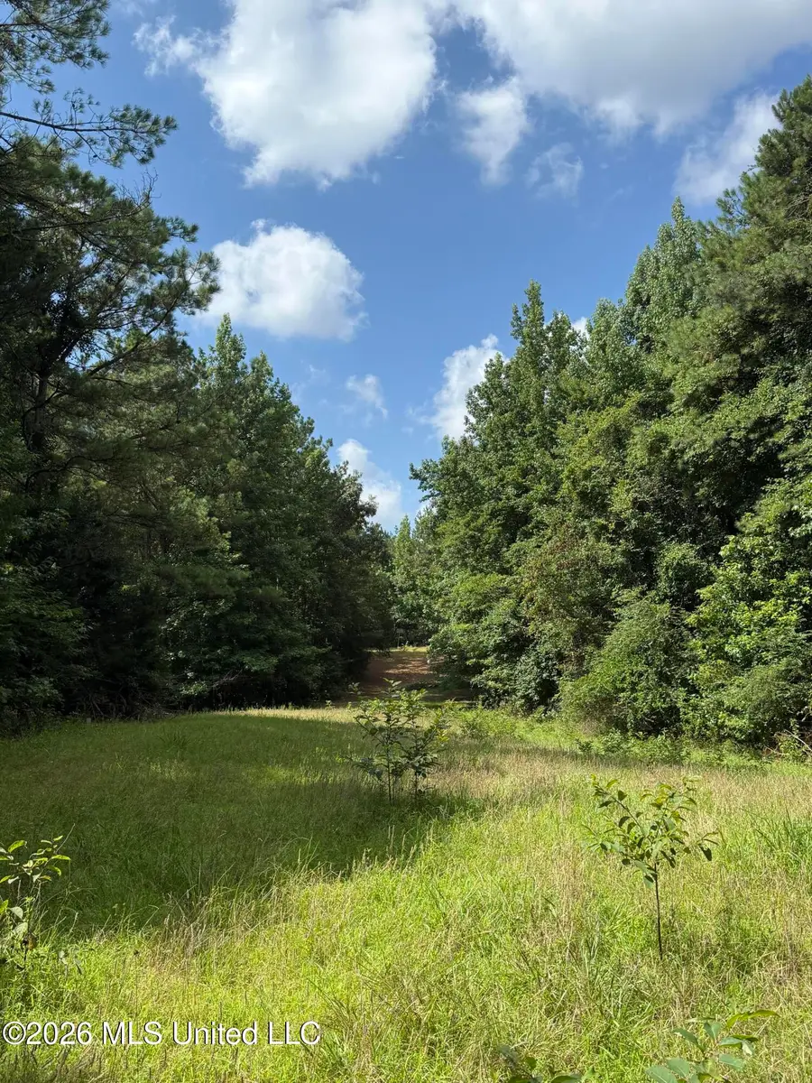 Highway 407, Kilmichael, MS 39747 - #2