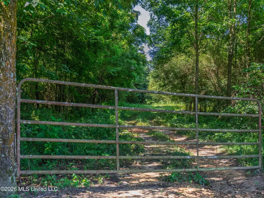 23 Co Rd 23, Bay Springs, MS 39422 - #3