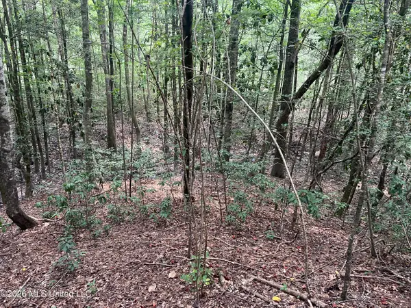 Mcdonald Road, Leakesville, MS 39451