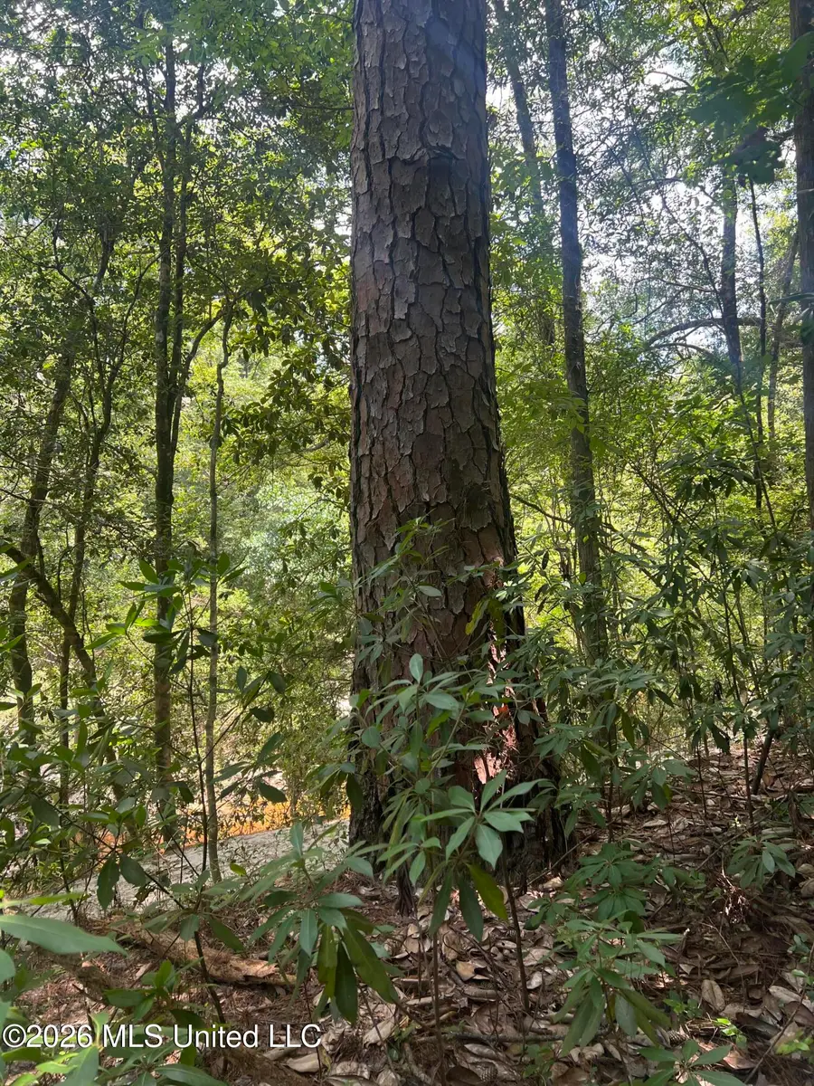 Mcdonald Road, Leakesville, MS 39451 - #2