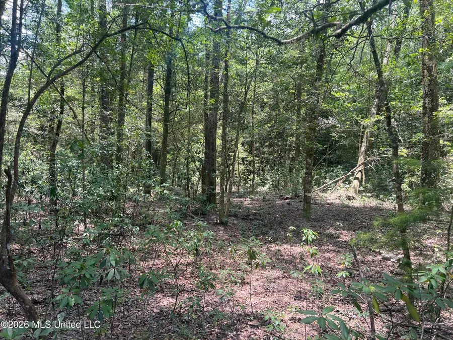 Mcdonald Road, Leakesville, MS 39451 - #3