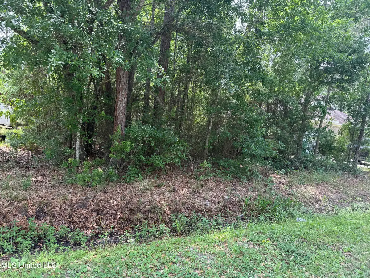 E Jackson Street, Bay Saint Louis, MS 39520 - #1