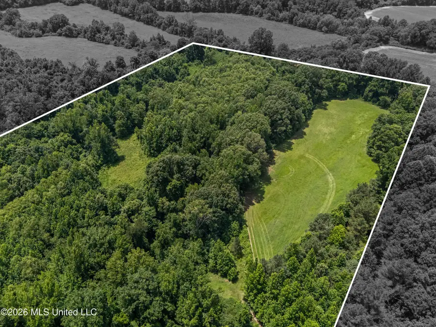 0 Freeman Drive, Coldwater, MS 38618 - #2