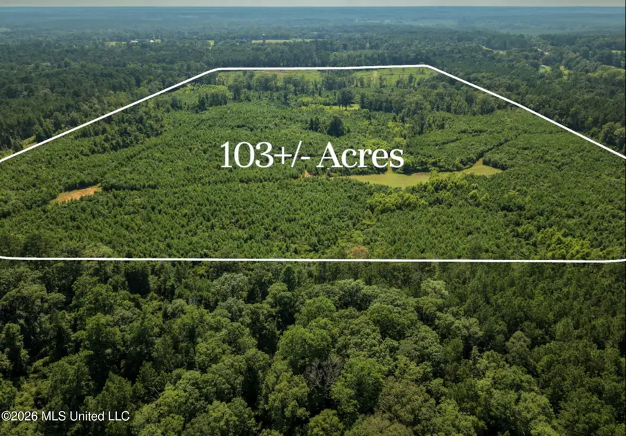 Lower Liberty Gloster Road, Liberty, MS 39645 - #2