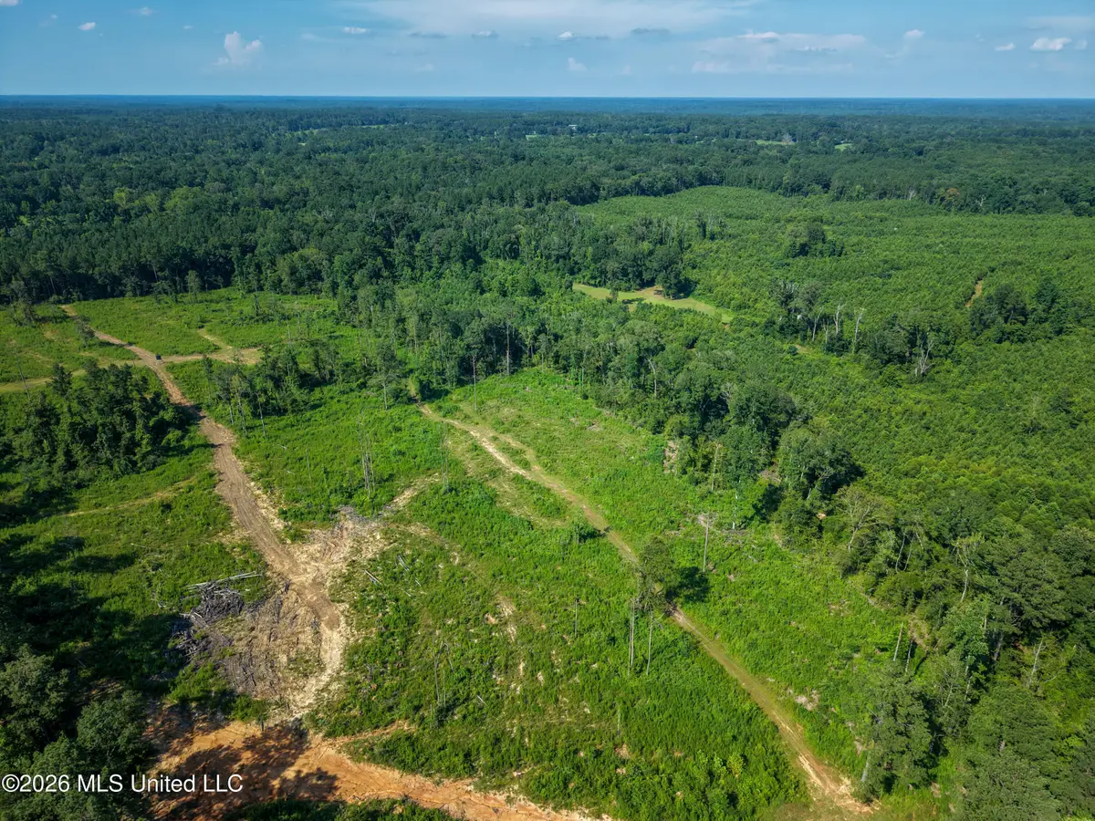 Lower Liberty Gloster Road, Liberty, MS 39645 - #1
