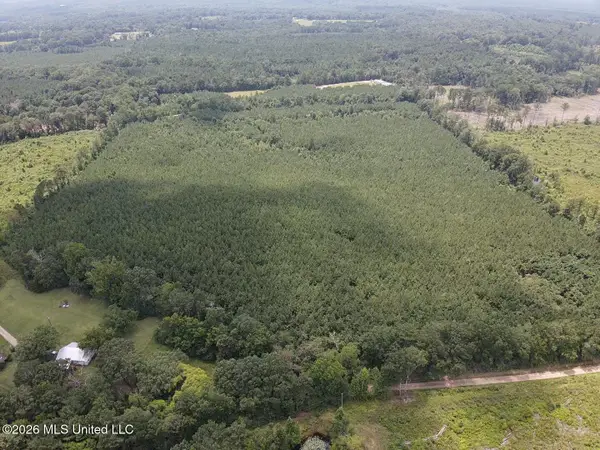 County Road 131b, Morton, MS 39117