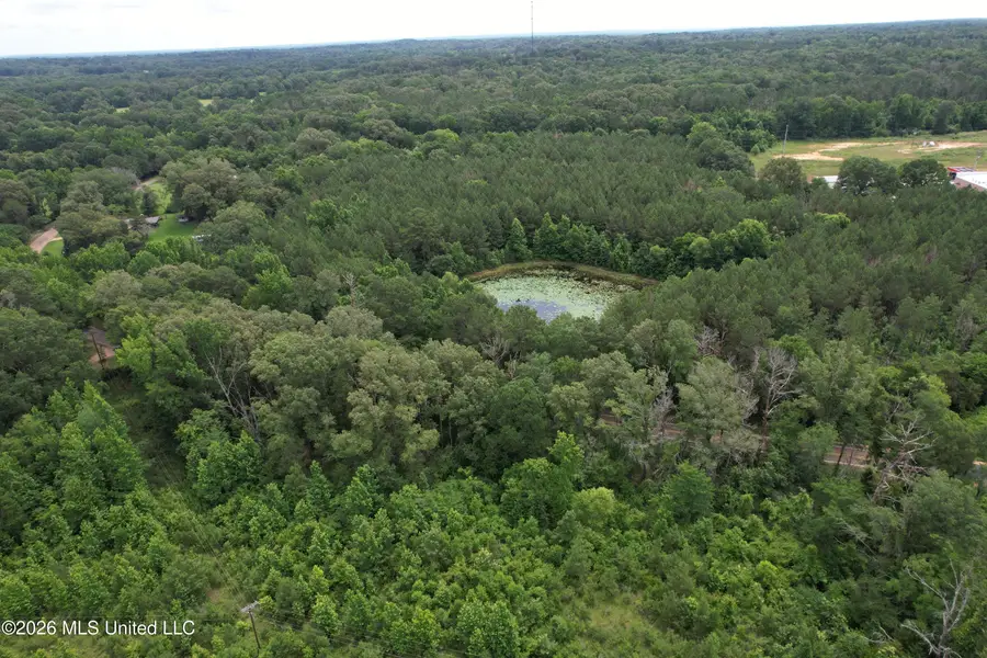 Rhymes Road, Crystal Springs, MS 39059 - #2