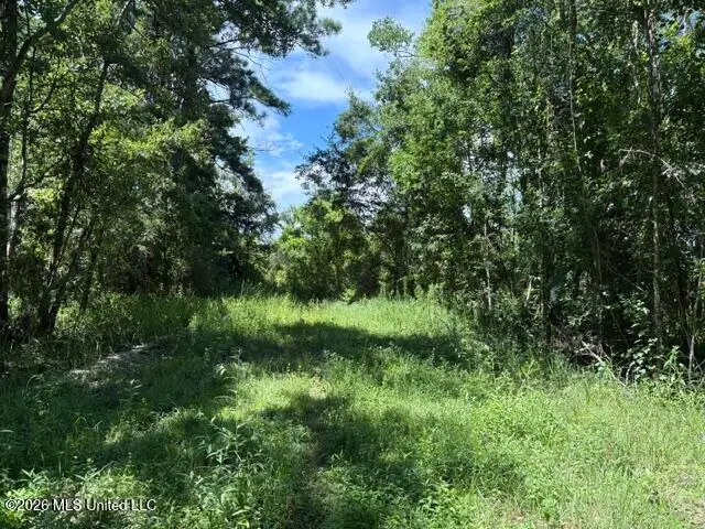N Juanita Lot 1156,1157 Street, Ocean Springs, MS 39564 - #1