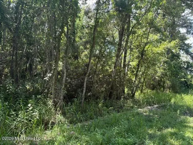 N Juanita Lot 1156,1157 Street, Ocean Springs, MS 39564 - #2