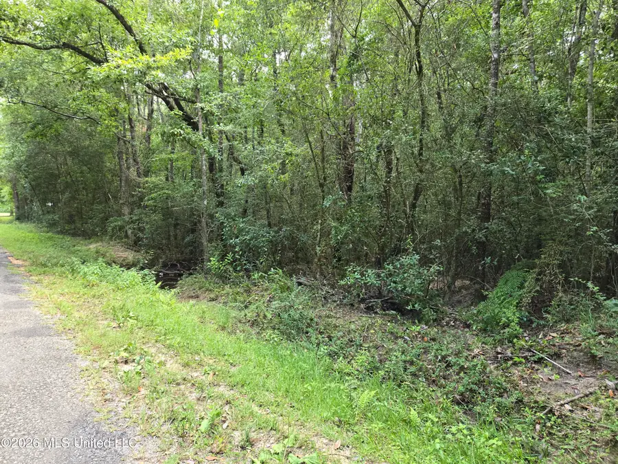 0 Redwood Drive, Picayune, MS 39466 - #3