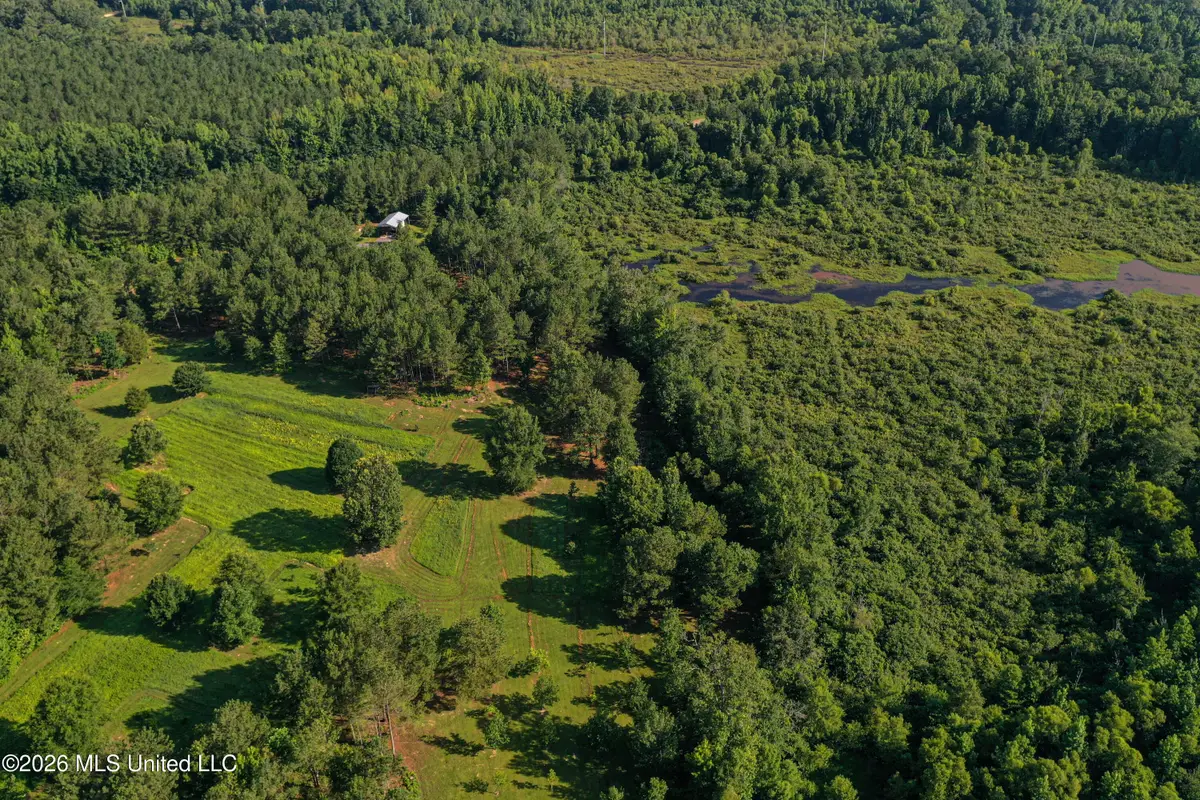 Mississippi 12, Starkville, MS 39759 - #1