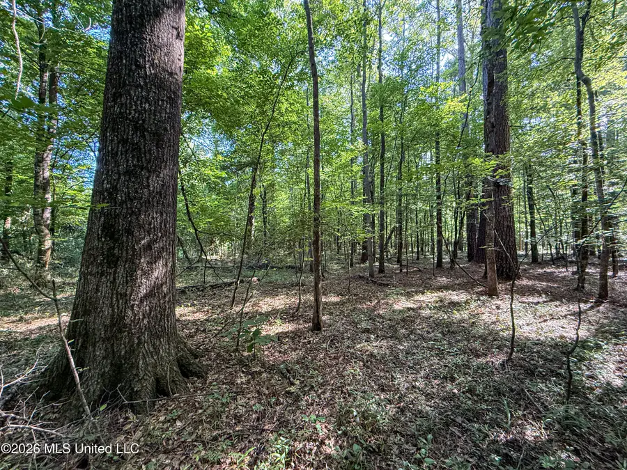 Mississippi 12, Starkville, MS 39759 - #3
