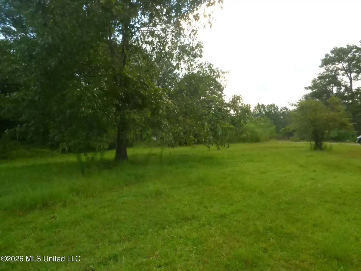 967 SE Bogue Chitto Road, Bogue Chitto, MS 39629 - #1