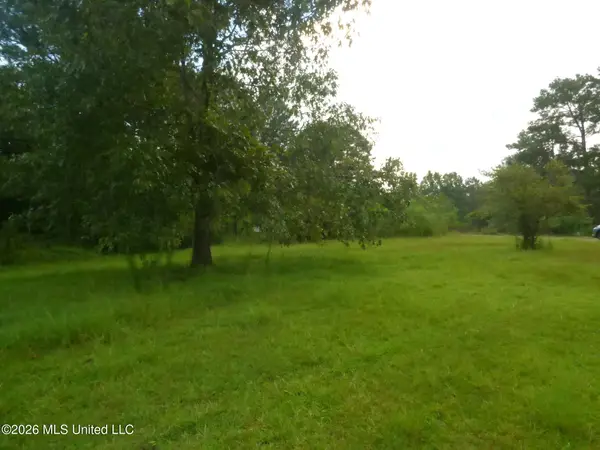 967 SE Bogue Chitto Road, Bogue Chitto, MS 39629