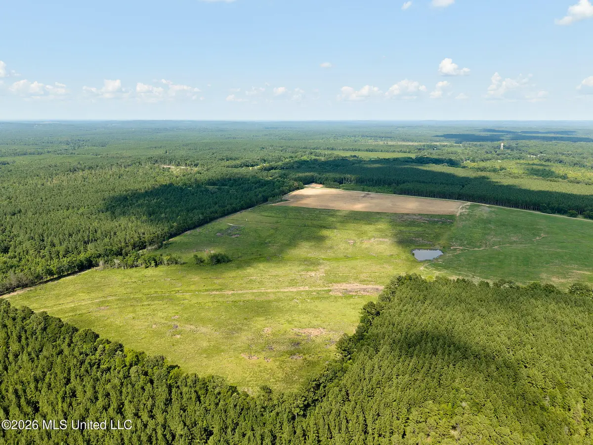 79 County Road 2349, Louin, MS 39338 - #1