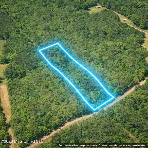 Shady Grove Trail, Prentiss, MS 39474