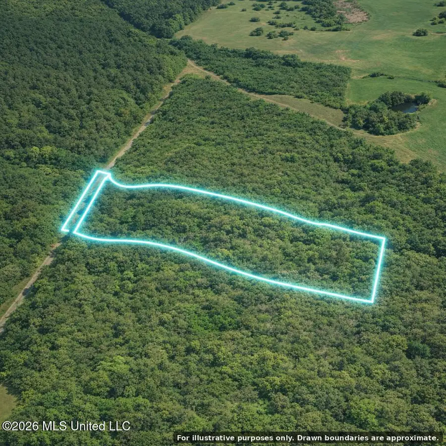Shady Grove Trail, Prentiss, MS 39474 - #3