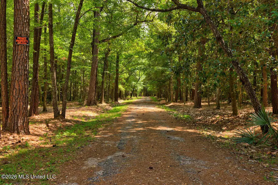 16100 Bayou Cocoa Point, Kiln, MS 39556 - #3
