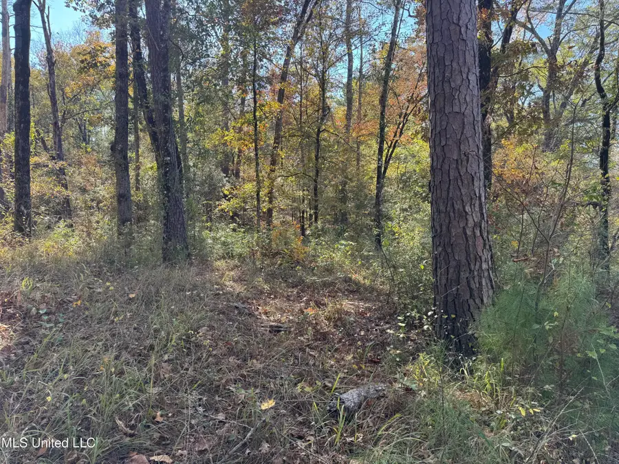 Rosemary Road, Florence, MS 39073 - #3