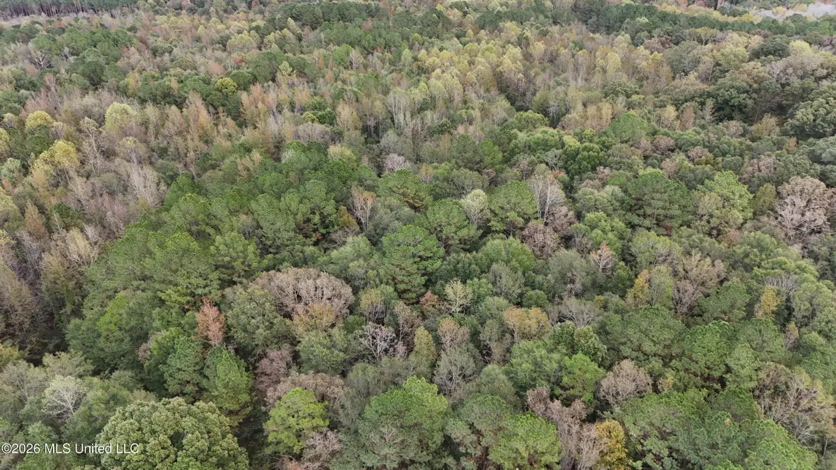 Remus Road, Carthage, MS 39051 - #1