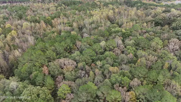Remus Road, Carthage, MS 39051