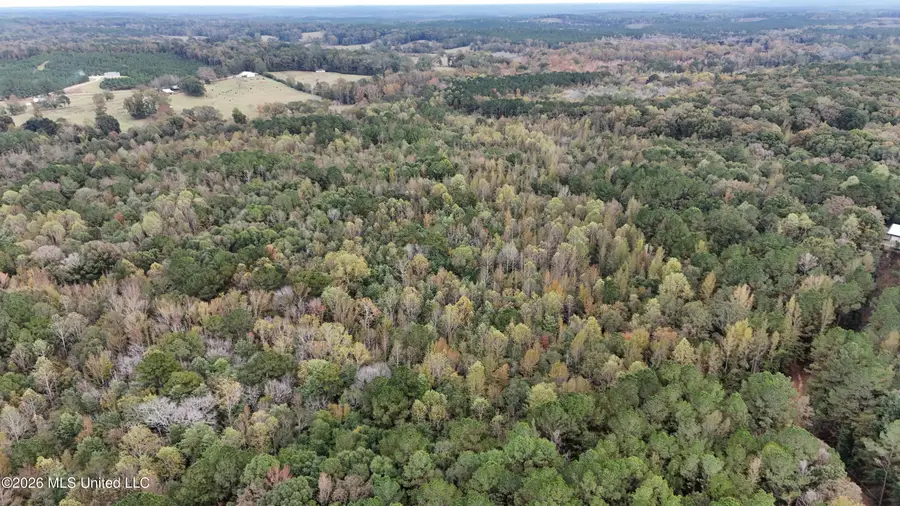 Remus Road, Carthage, MS 39051 - #2