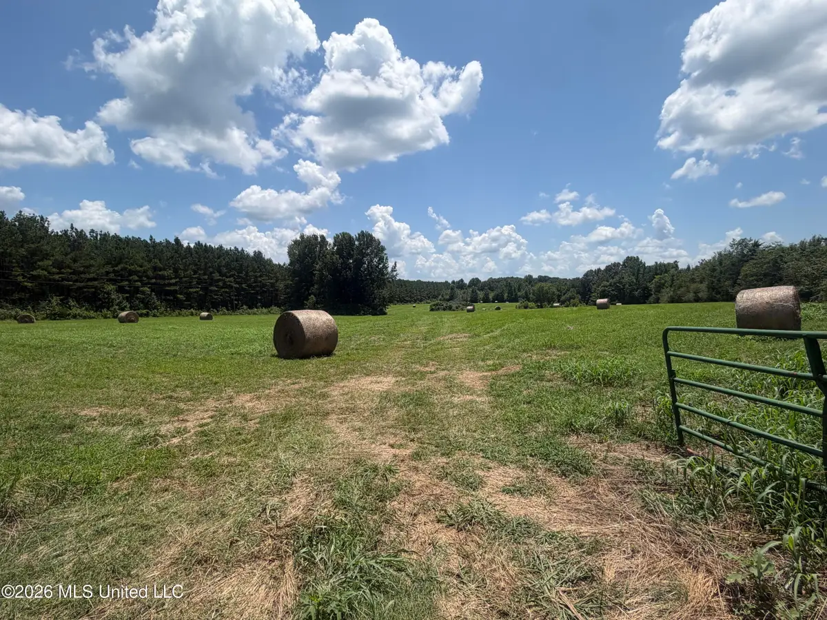 00 Graves Road, Holly Springs, MS 38635 - #1