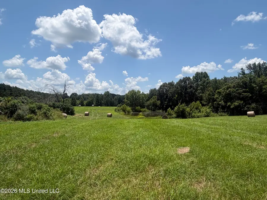 00 Graves Road, Holly Springs, MS 38635 - #3