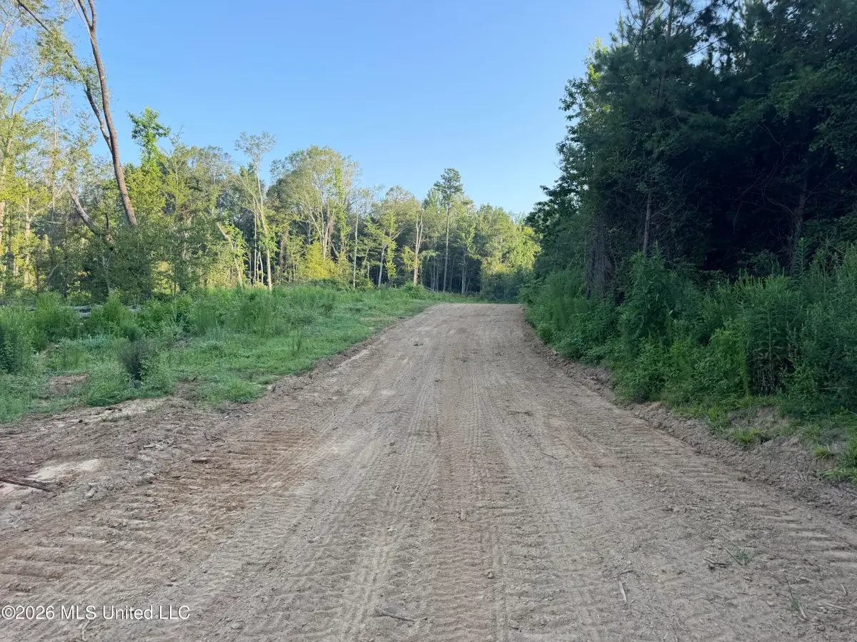 Carroll Road, Port Gibson, MS 39150 - #1