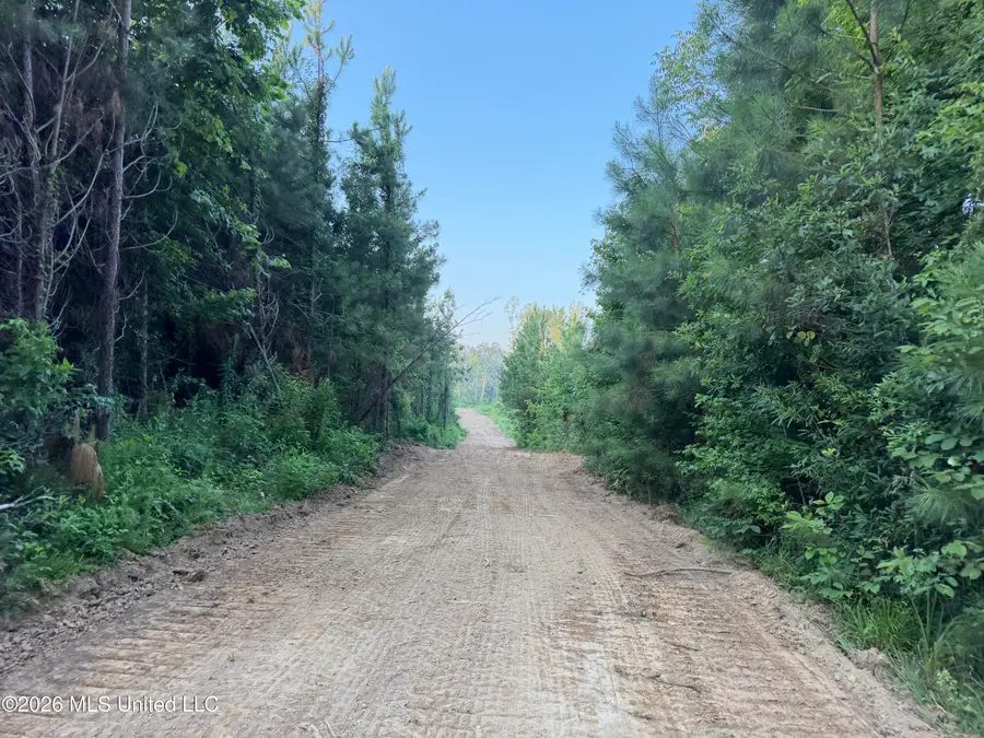 Carroll Road, Port Gibson, MS 39150 - #3