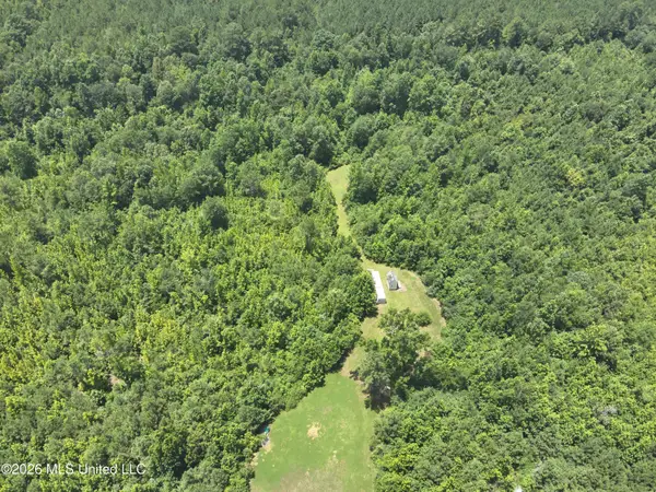000 Mississippi 43, Carthage, MS 39051