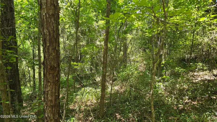 . Neal Posey Road, McCall Creek, MS 39647 - #2