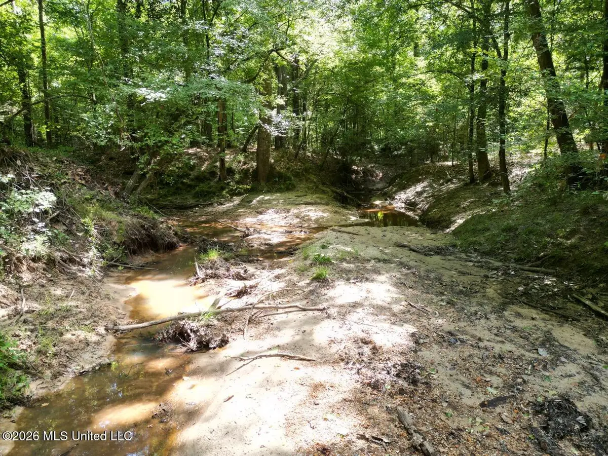 Pam Road, Harrisonburg, LA 71340 - #1