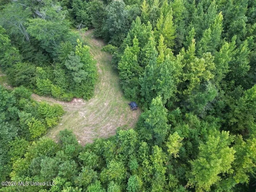 Pam Road, Harrisonburg, LA 71340 - #2