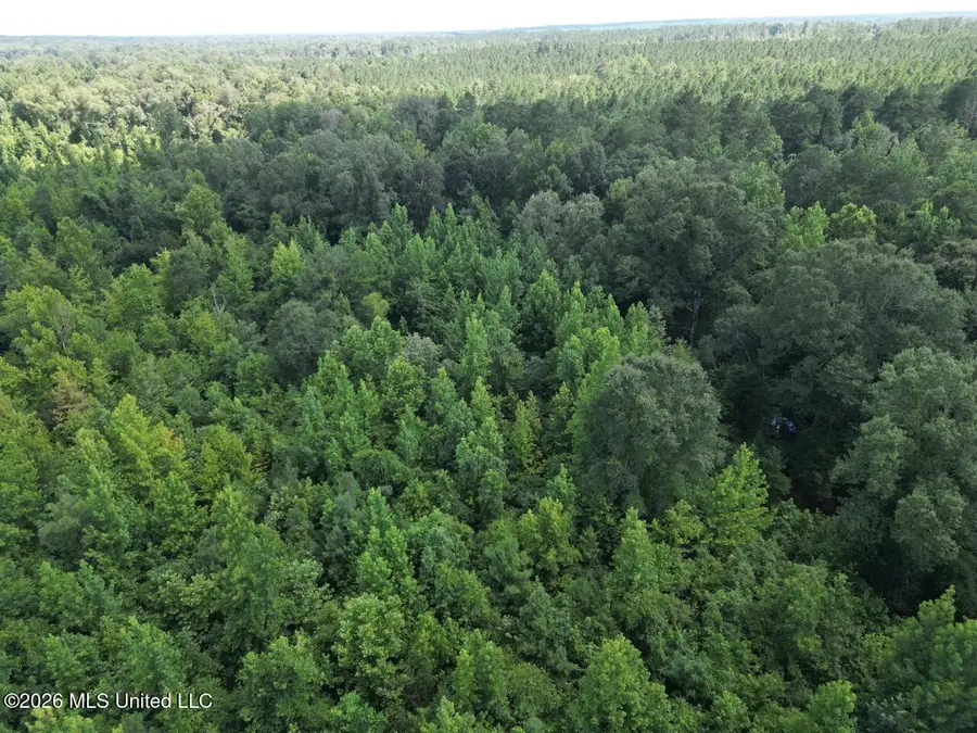 Pam Road, Harrisonburg, LA 71340 - #3