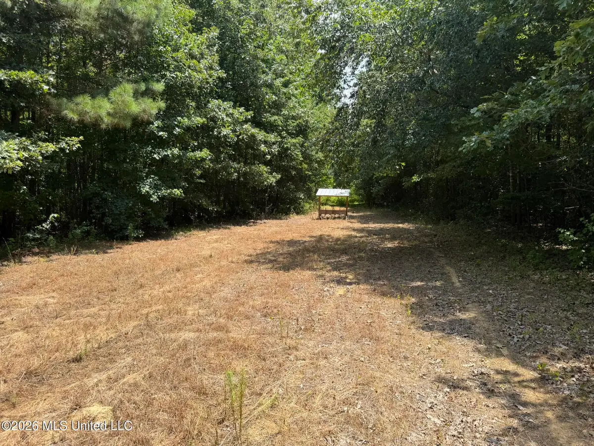 4267 Race Track Road, West, MS 39192 - #1
