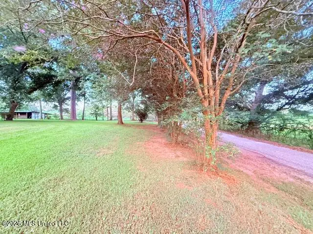 25 Wes Dillon Road, Tylertown, MS 39667 - #3