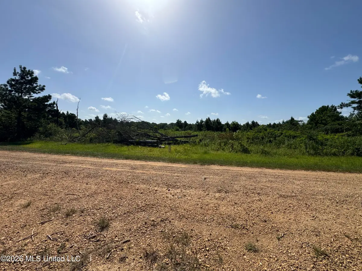 32b Sauls Road, Ruth, MS 39662 - #1