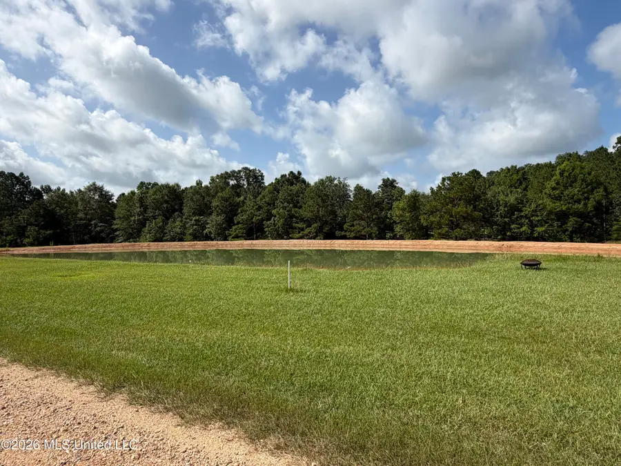 231 New Arbor Road, Poplarville, MS 39470 - #3