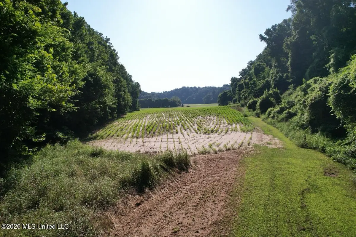 Annas Bottom Road, Natchez, MS 39120 - #1