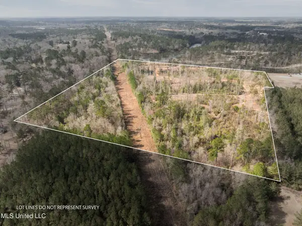 36.08 +/- Acres Placid Drive, Sumrall, MS 39482