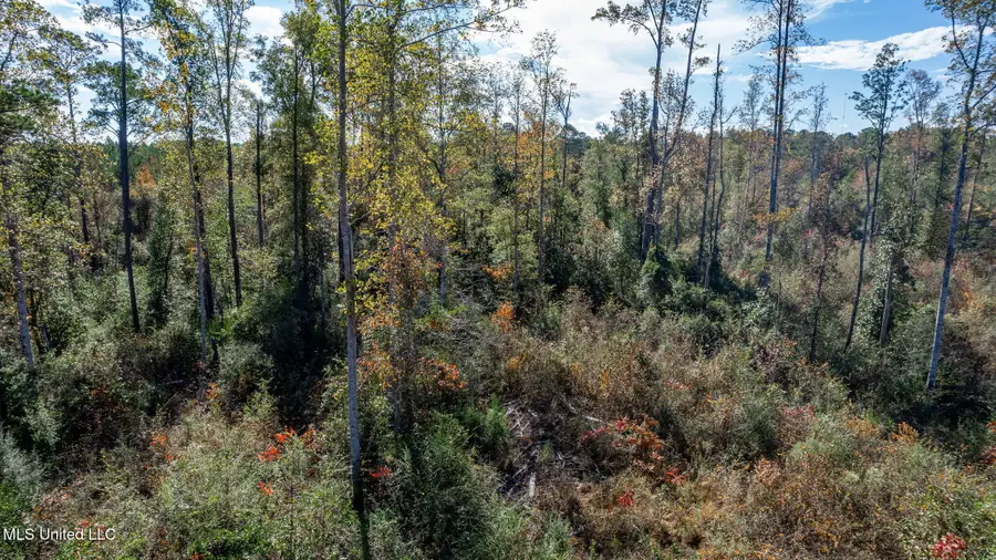 36.08 +/- Acres Placid Drive, Sumrall, MS 39482 - #2