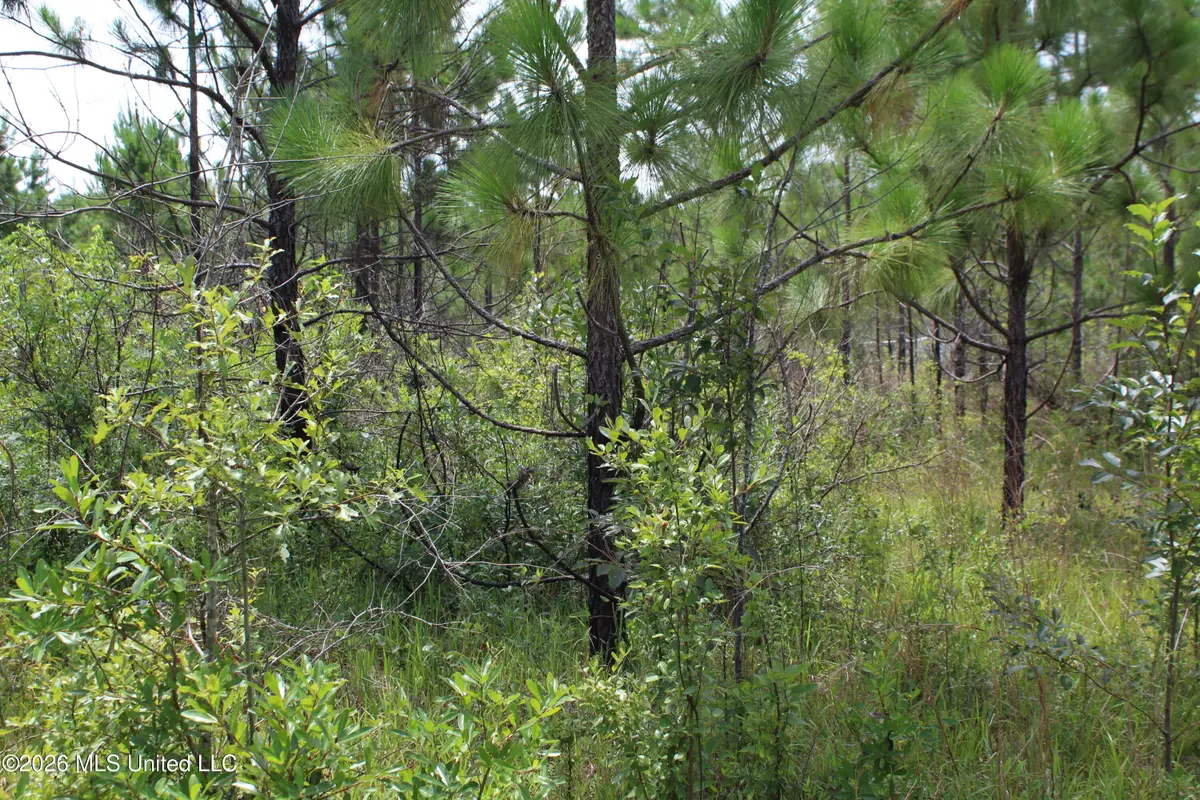Agricola Latonia Road, Lucedale, MS 39452 - #1